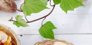 Khoai lang và chuối chiên giòn tan