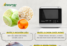 VEGETARIAN CABBAGE ROLLS USING STEAM AIR FRYER DKA-SAF118W